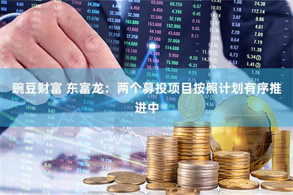 豌豆财富 东富龙：两个募投项目按照计划有序推进中