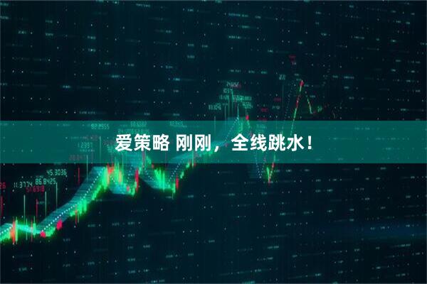爱策略 刚刚,全线跳水!