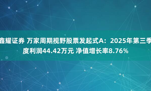 鑫耀证券 万家周期视野股票发起式A:2025年第三季度利润44.42万元 净值增长率8.76%