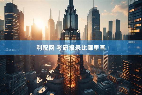 利配网 考研报录比哪里查